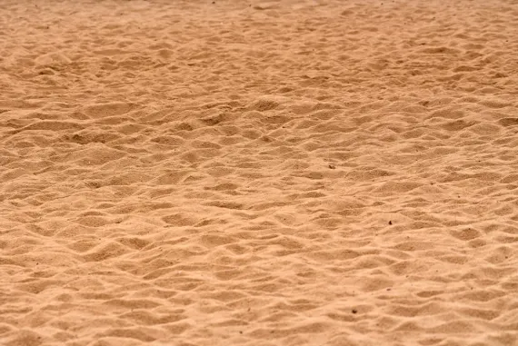 BigWins Kazino Atbalsts